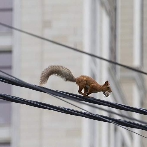 Photo #8812725