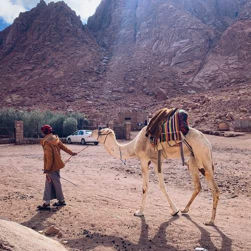 Photo #8812742