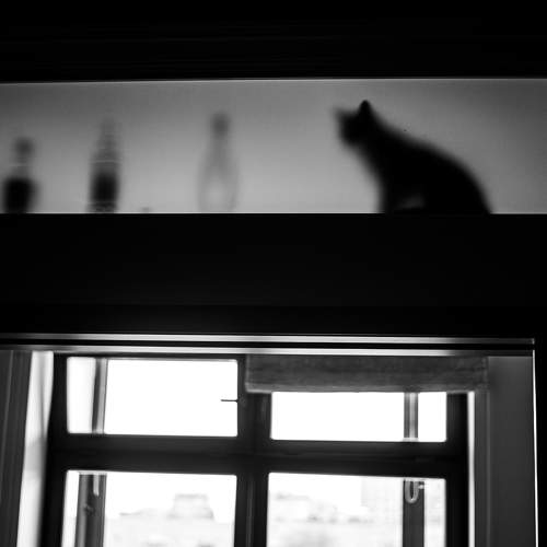 Photo #8812744