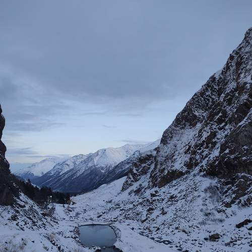 Photo #8812823