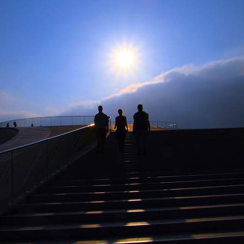 Photo #8812850