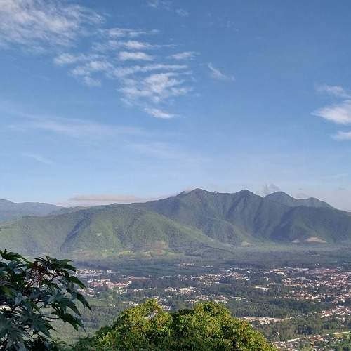 Photo #8812895