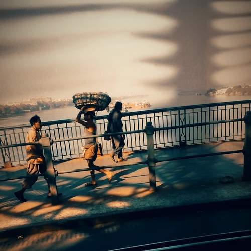 Photo #8813025