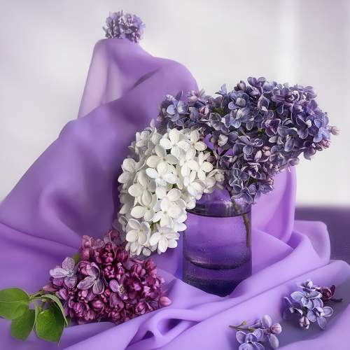 Photo #8813031
