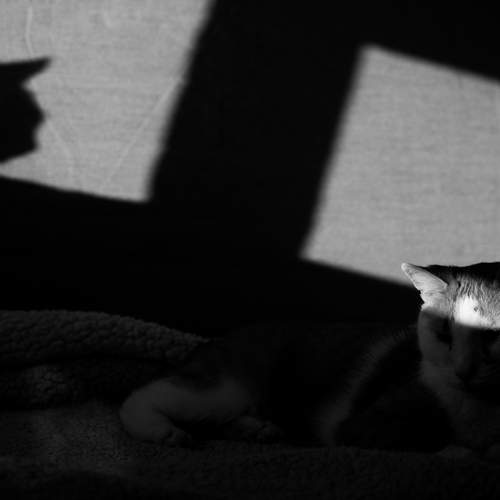 Фотография #8813158