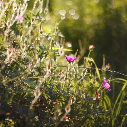Photo #8813195