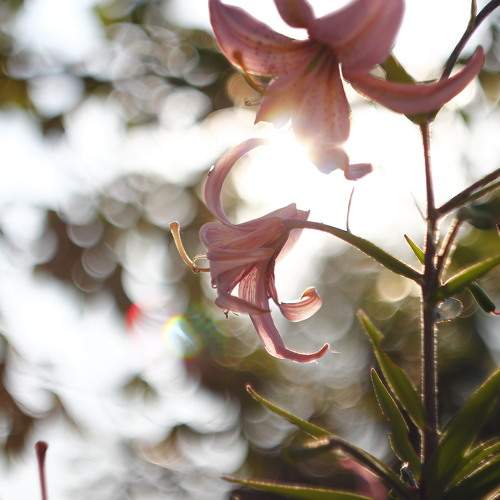 Photo #8813241