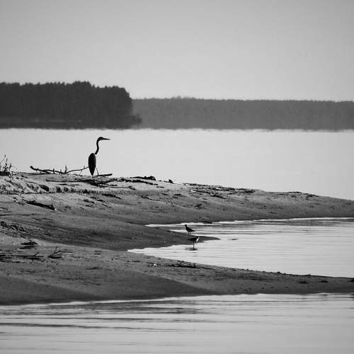 Photo #8813523