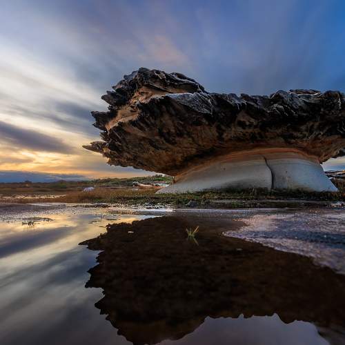 Фотография #8813850