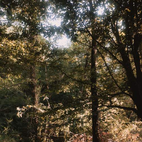 Photo #8814235