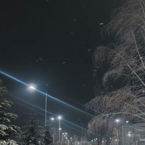Photo #8814331