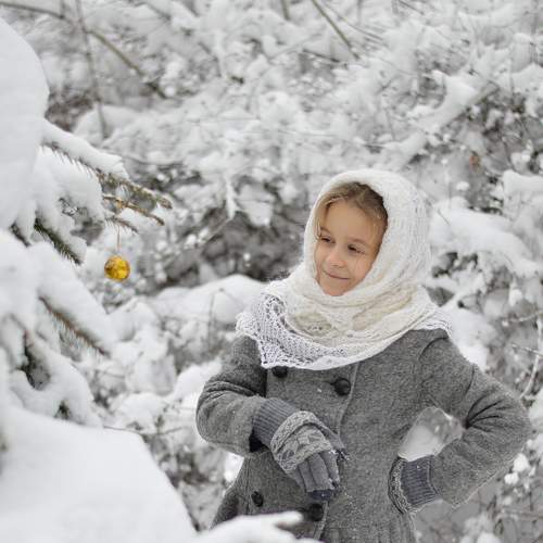 Photo #8814472