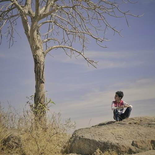 Photo #8814512