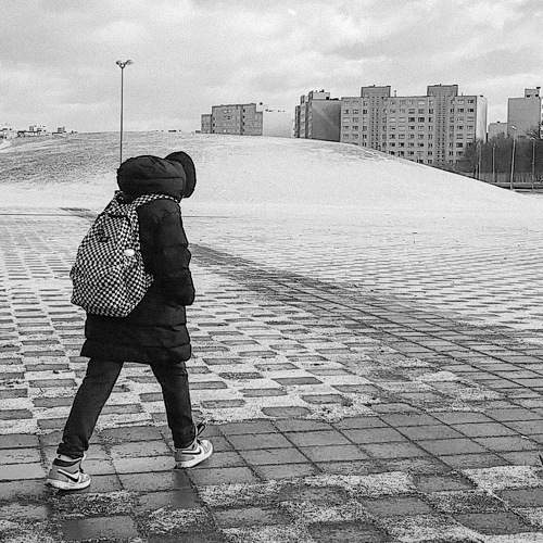 Photo #8814678
