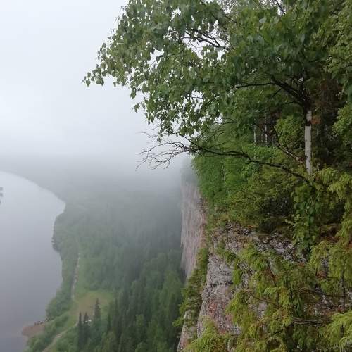 Photo #8814899