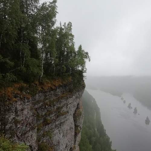 Photo #8814904