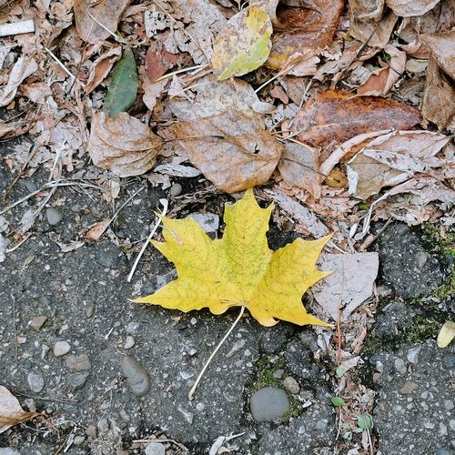 Photo #8814965