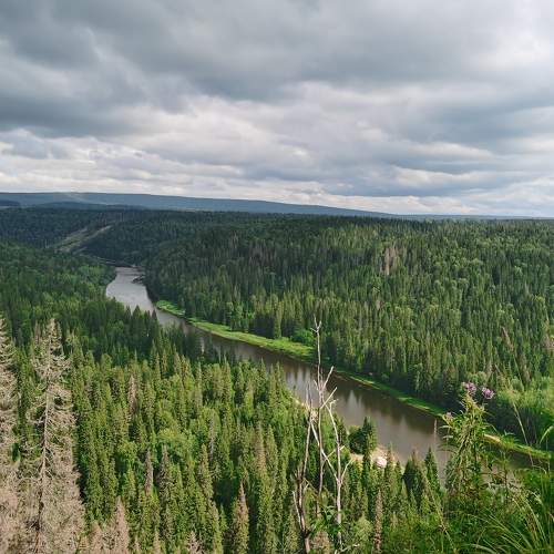 Photo #8815175