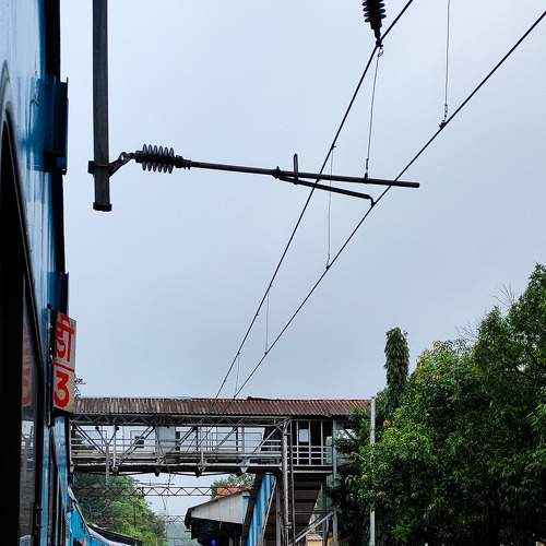 Photo #8815245