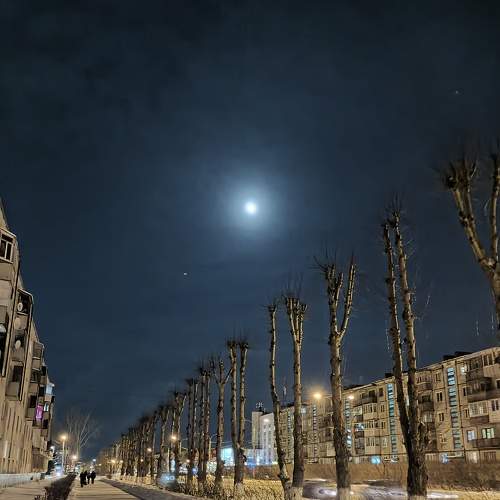 Photo #8815312