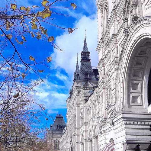 Photo #8815313