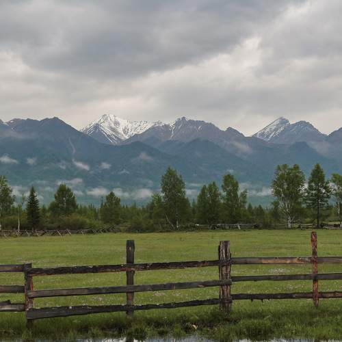 Photo #8815947