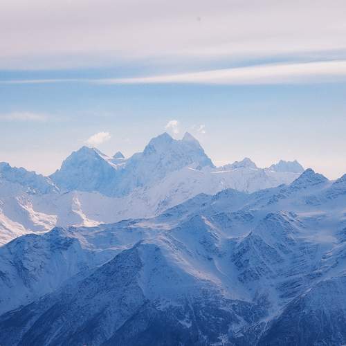 Photo #8816240