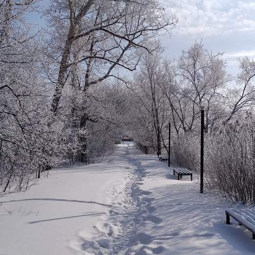 Photo #8816543
