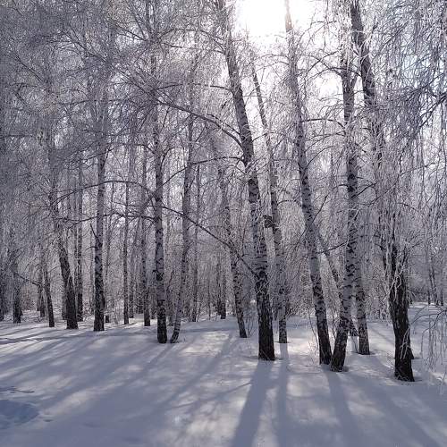 Photo #8816561