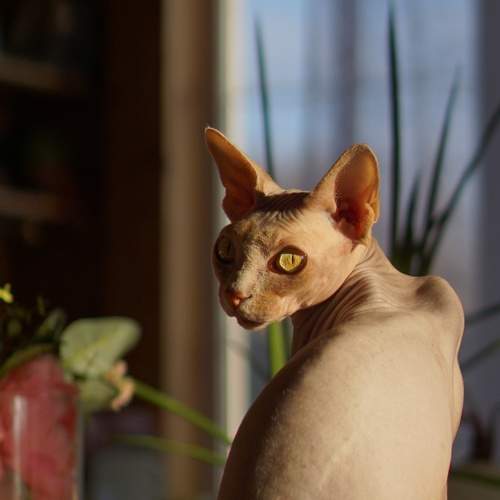 Photo #8816970