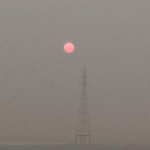 Photo #8817266