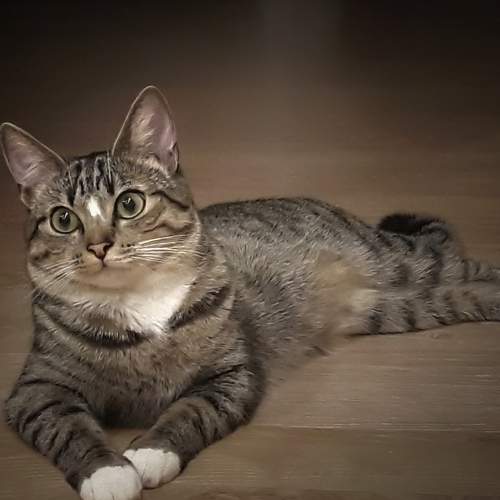Photo #8817373