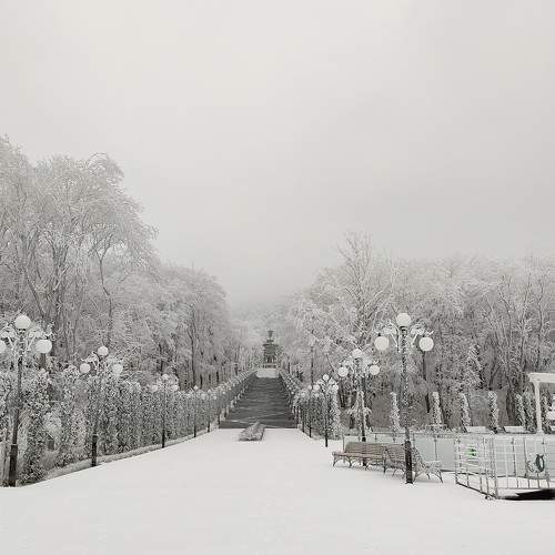 Photo #8817473