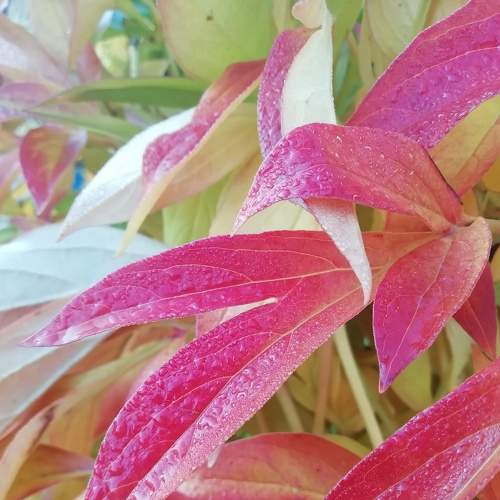 Photo #8817491