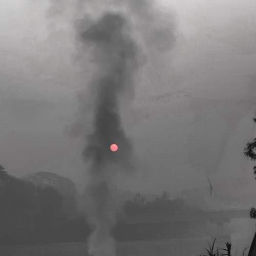Photo #8817729