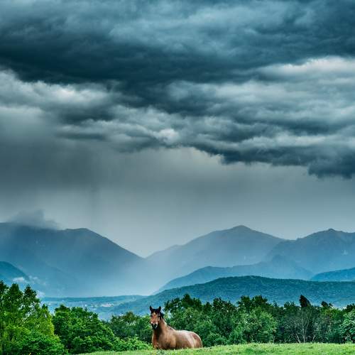 Before the rain