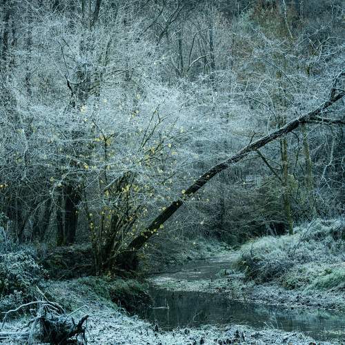 Photo #8817823