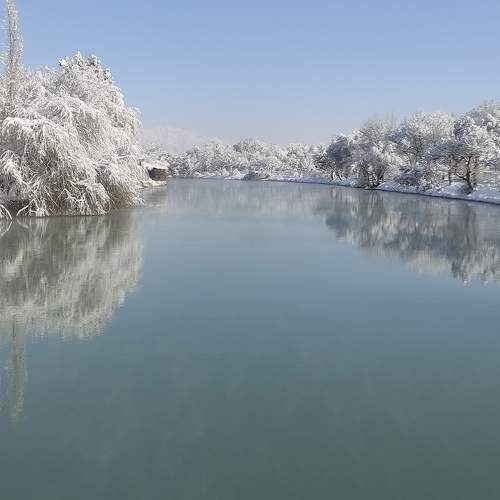 Photo #8817875