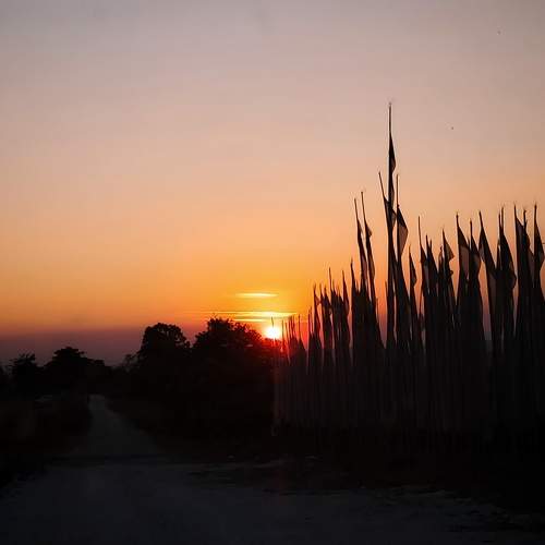 Photo #8818085