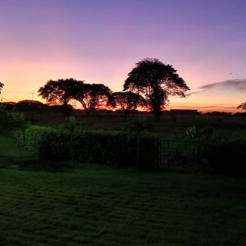 Photo #8818159