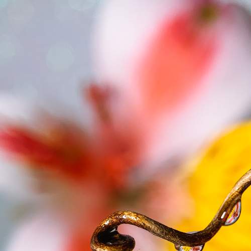 Photo #8818525