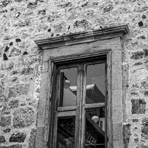 Photo #8818673
