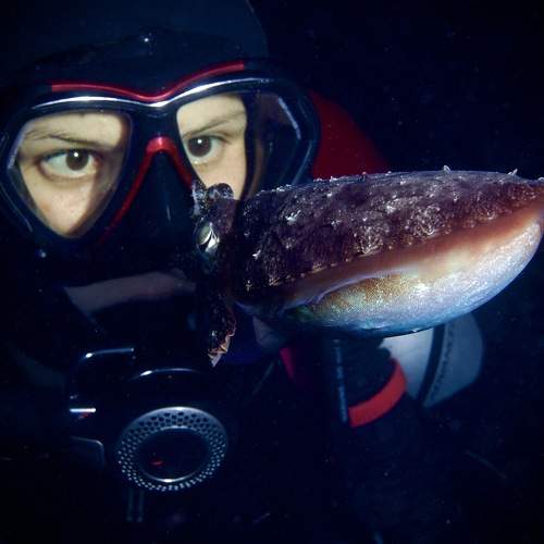 Photo #8819002