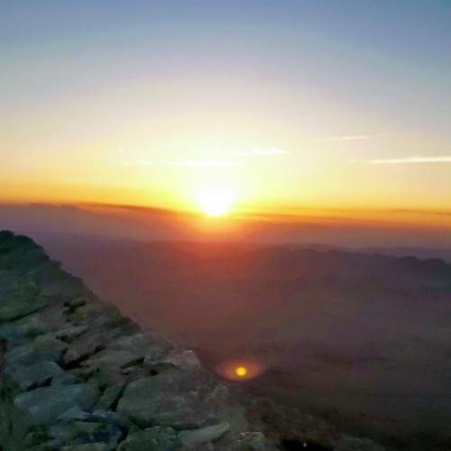 Photo #8819195