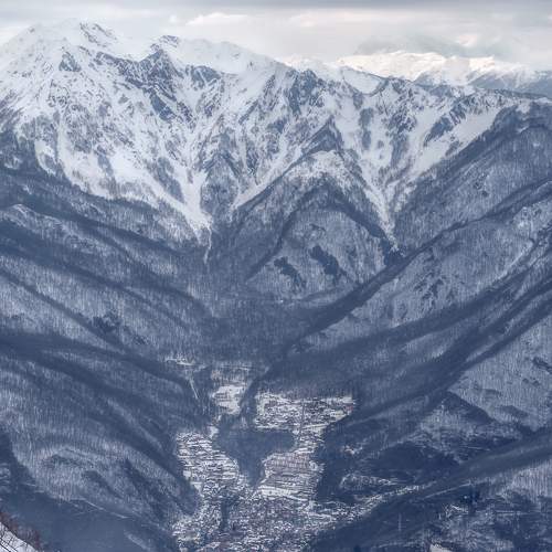 Photo #8819378
