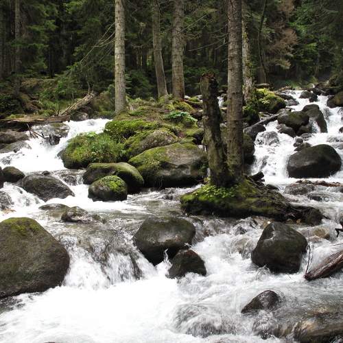 Photo #8819589