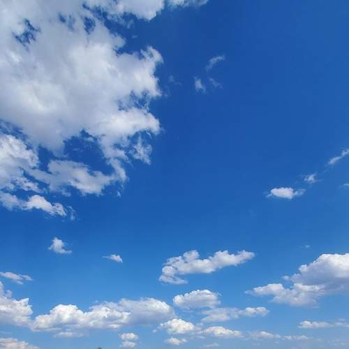 Photo #8819738