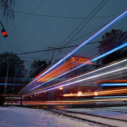 Photo #8819821