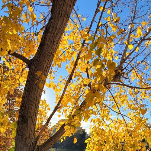 Photo #8819829