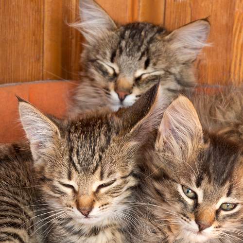 Photo #8819956